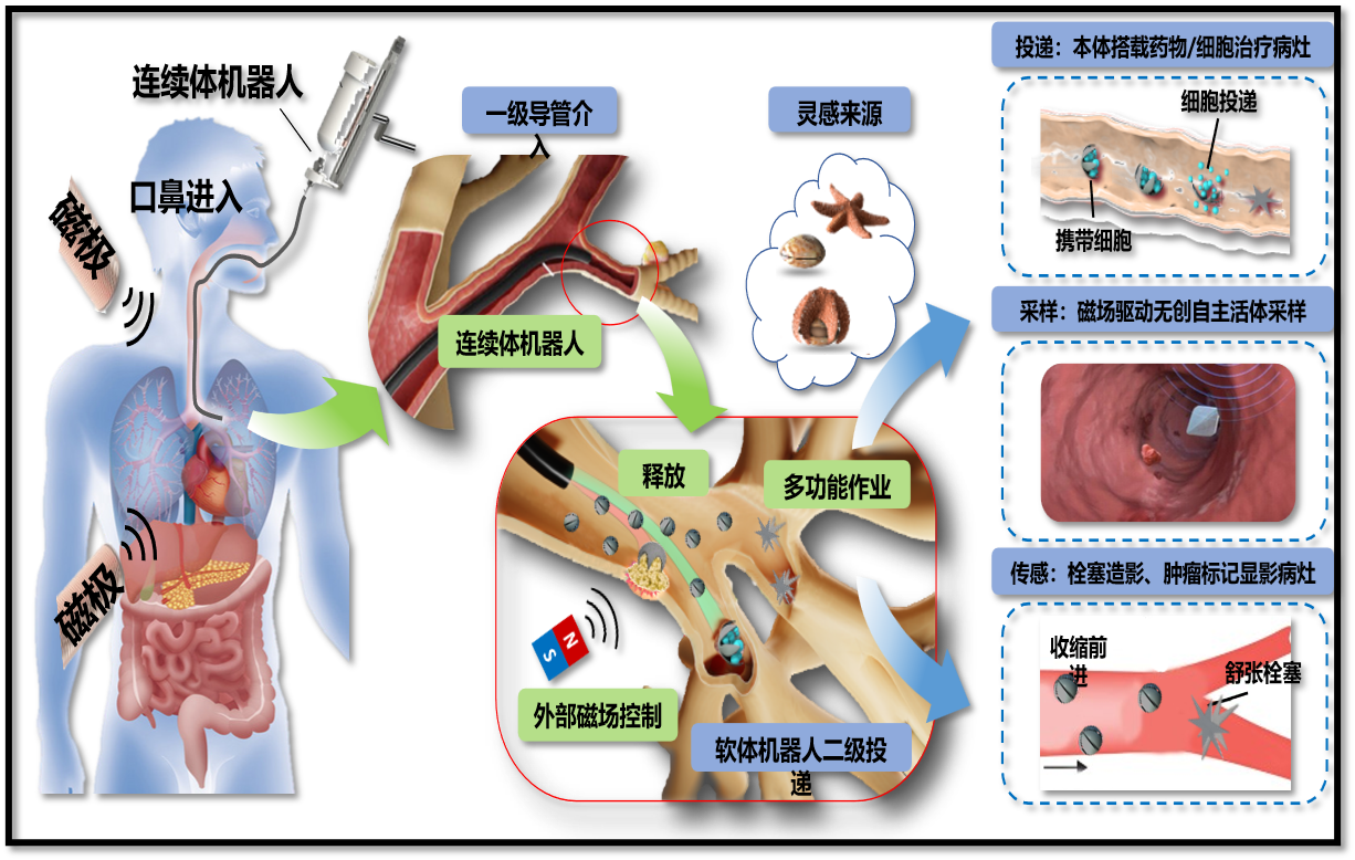 Magnetically driven microrobot overview