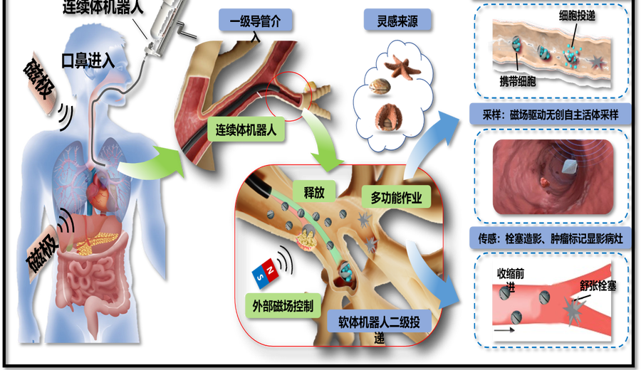 Magnetically Driven Microrobot System