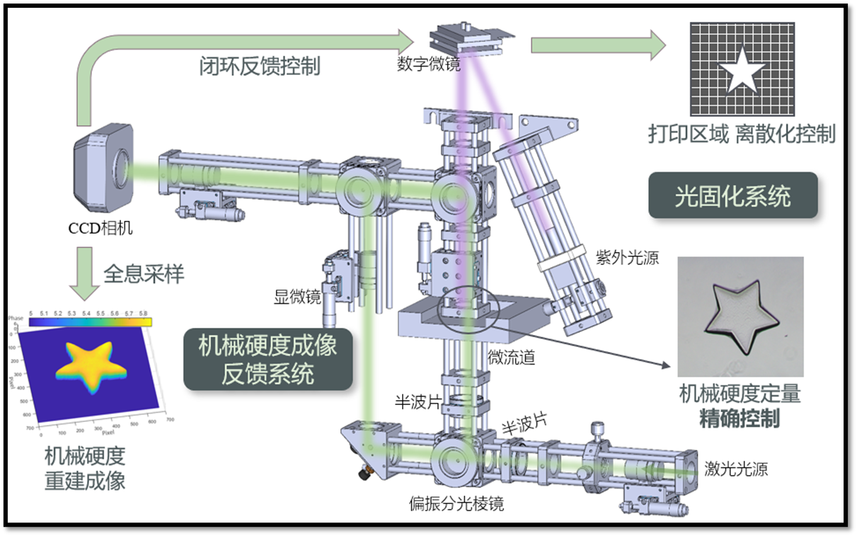 System and optical path